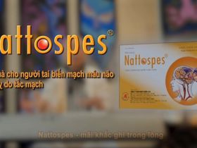 Nattospes - Hỗ trợ điều trị và phòng ngừa tai biến mạch máu não